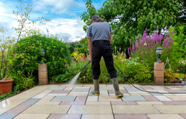 Best Restaurant Pressure Washing  in Chatham, IL