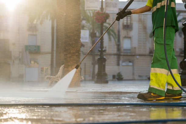 Best Animal Enclosure Cleaning  in Chatham, IL